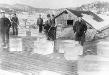 Men handling ice blocks with 'ice tongs', hinged in the middle