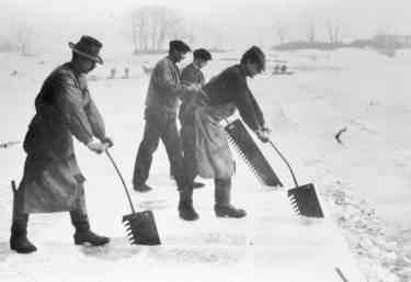 Row of four men using hand-saws on long handles to cut ice in a lake